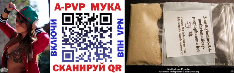 A PVP СК  Балашов 