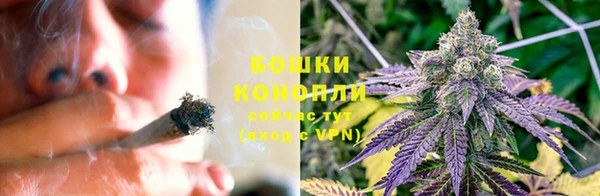 прущие грибы Бугульма