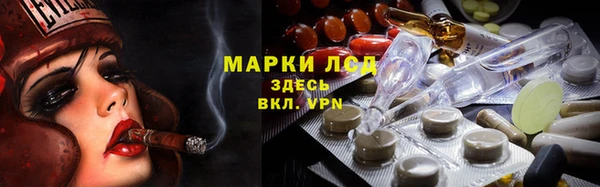 не бодяженный Бородино