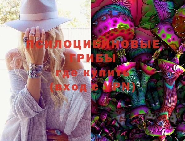 spice Бронницы