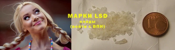 прущие грибы Бугульма