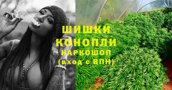 не бодяженный Бородино